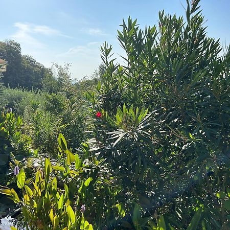 Agriturismo Al Robale 阿尔蒙诺圣巴特鲁姆 外观 照片